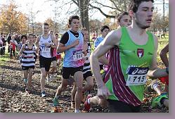 Begles 15.12.13 01 562 * 679 x 453 * (161KB)